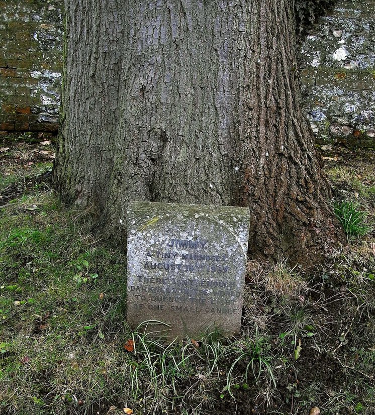A_headstone_for_a_Marmoset_-_geograph.org.uk_-_1720642-cropped