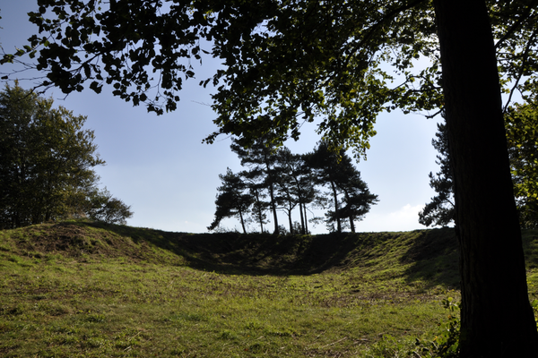 Scutchamer-knob.24c9904e.fill-600x400