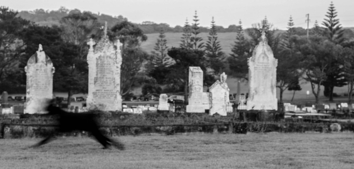 The Black Dog of Wilcote Woods Dark Oxfordshire
