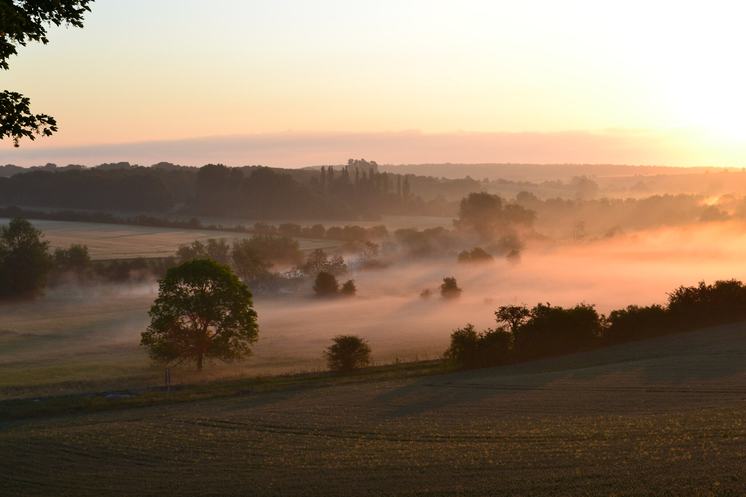 swinbrook