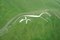 White Horse hill - is that really a horse?