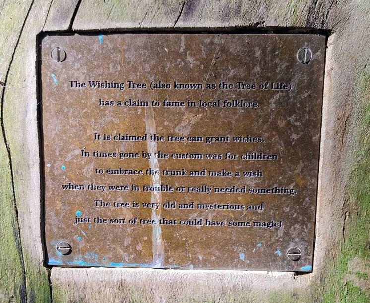 Witney Wishing Tree Plaque